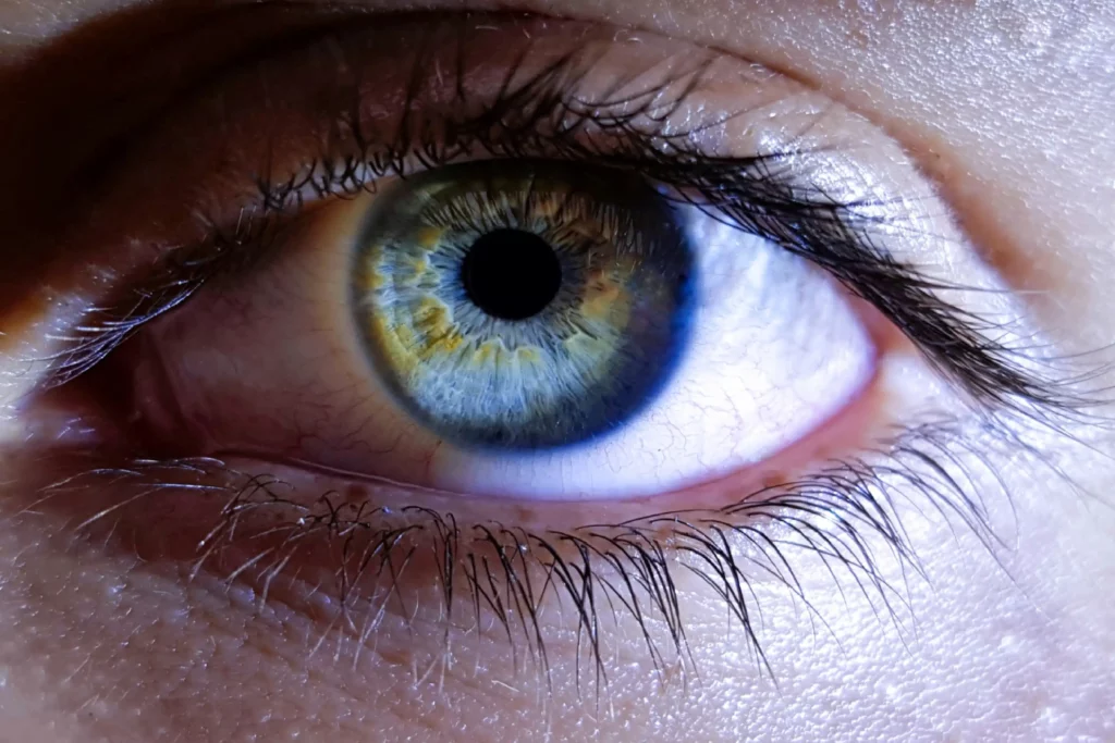 The Psychology of Eye Color What It Reveals About Your Vision and Personality - Global Eye Hosptal
